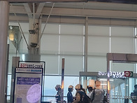 말레시아 전복양식장