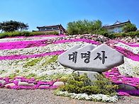 경남산청 대명사