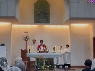 종려나무 - 202..