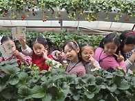 [봄 체험학습] ㇮..