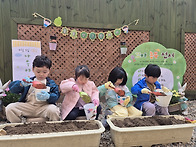 Green day - 씨앗 심기