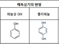 휴믹산과 석탄의 생성