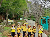 슬기반 숲활동(산..