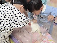 5월 가득반 쥬니멀