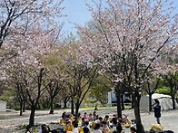 4월3주)중원유치원 봄 캠..