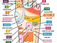 발지압