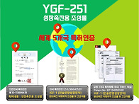 YGF-251 임상시험..