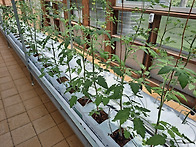 퍼머컬쳐 스마트팜