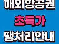 해외여행 베트남 일본 땡처..