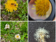 양정작은도서관 달팽이 마..