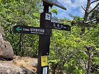 20250517 단양 도락산
