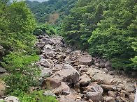 아름다운 숲 골짜기
