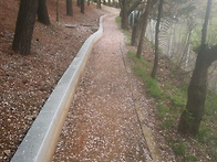 KINS 산책로