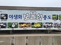 풍도2