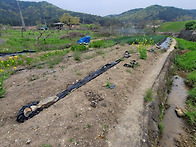 밀양시 부북면 제대리(답8..