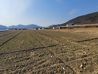 밀양시 산외면 금천리(답6..