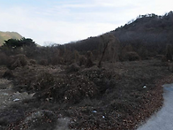 청도군 청도읍 음지리(전3..