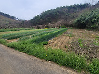 밀양시 하남읍 귀명리(대3..