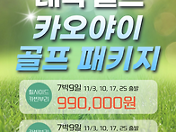 &#9992;[항공포함][11..