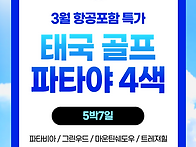 ✈[항공포함][3월..