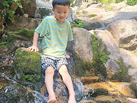 7월 첫째 주 둥굴레 이야기