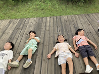 7월 넷째 주 민들레 이야기