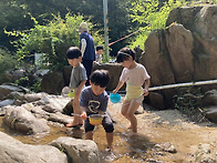 7월 첫 주 민들레 이야기