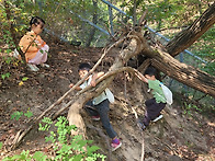 10월 첫 주 둥굴레 이야기