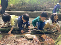 4월 넷째 주 민들레 이야기