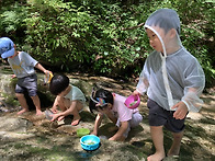 6월 넷째 주 민들레 이야기