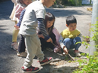 4월 다섯째 주 둥굴레이야..