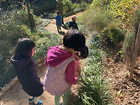 10월 마지막주 제비꽃 이..