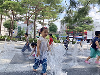 8월 넷째 주 제비꽃이야기
