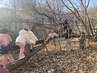 12월 둘째 주 제비꽃 이야..