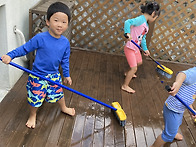 8월 넷째 주 민들레 이야기