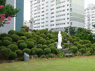 성모 승천 대축일