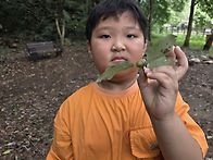 🌳숲 체험🌳