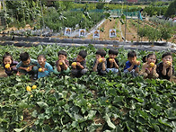 1박 2일 촌캉스1