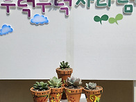 식목행사-다육심기