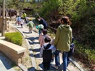 샛별어린이집 숲체험-삼천..