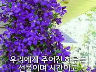 서울남노회 2020년가을노회..