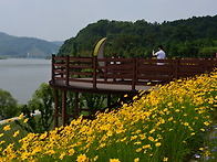 비교 사진