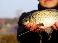 백학지 늦가을 선물