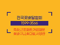 일산꽃집 / 일산근조화환 ..