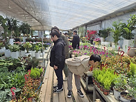 동학사 및 유성 꽃시장 ~~~