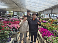 동학사 및 유성 꽃시장 ~~~