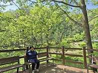 치유의 숲 산책