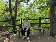 치유의 숲 산책