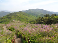 남원/장수/함양 봉화산 매..
