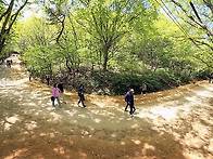 &lsquo;대전 보물&rsquo; 2..